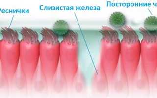 Причины и симптомы полипоза носа у детей и взрослых