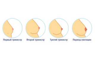 Ощущения в первые дни после зачатия